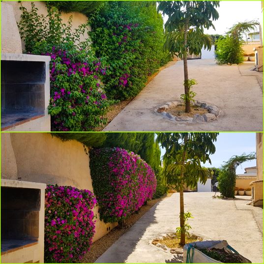 Vidal Gardens diseño de jardines calpe benissa Vidal Gardens diseño de jardines calpe benissa